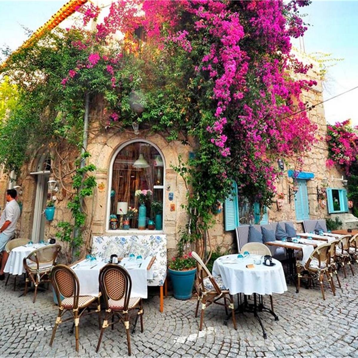 14. Alaçatı Ot Festivali Ege Turu 1 Gece 2 Gün