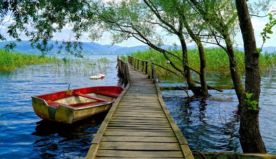 Günübirlik Sapanca, Maşukiye, Ormanya Turu